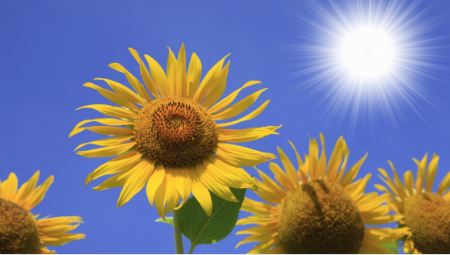 Screenshot 2025-03-26 090929.png