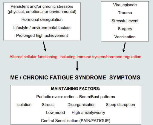 Screenshot 2025-03-25 165145.png